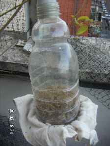 06 03 aspira-bucce.jpg